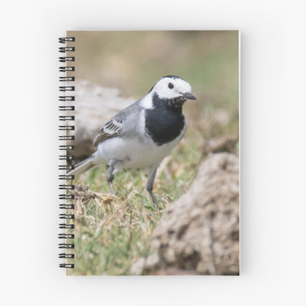 Item preview, White Wagtail designed and sold by LaurenTucker.