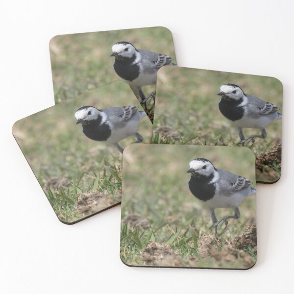 Item preview, White Wagtail designed and sold by LaurenTucker.
