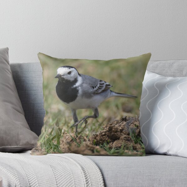 Item preview, White Wagtail designed and sold by LaurenTucker.