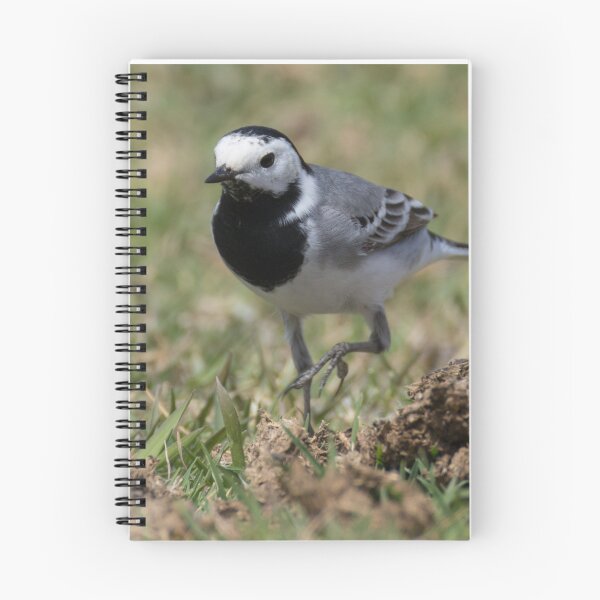 Item preview, White Wagtail designed and sold by LaurenTucker.
