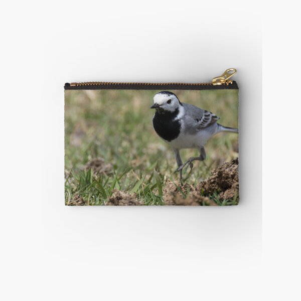 Item preview, White Wagtail designed and sold by LaurenTucker.