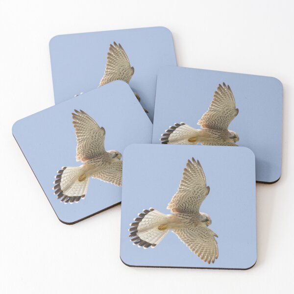 Item preview, Common Kestrel designed and sold by LaurenTucker.
