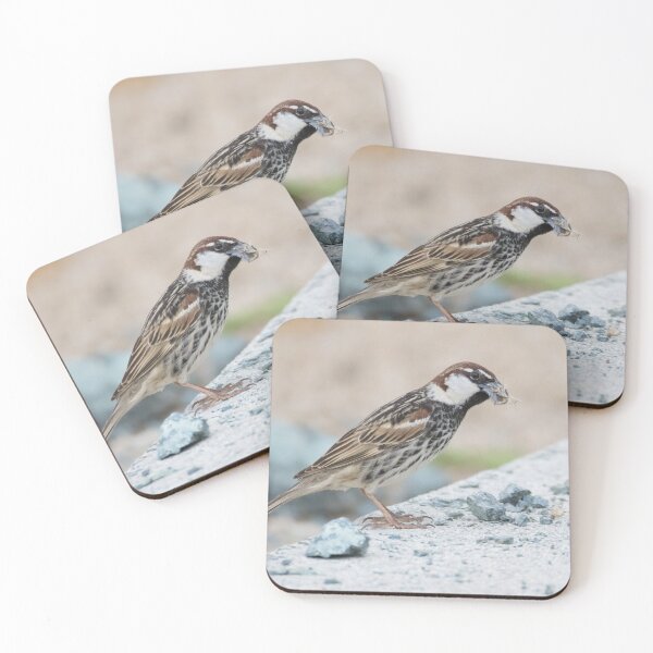 Item preview, Spanish Sparrow designed and sold by LaurenTucker.