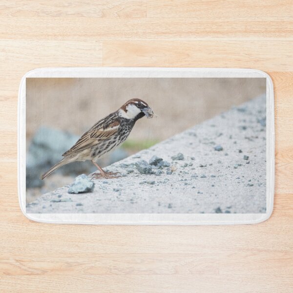 Item preview, Spanish Sparrow designed and sold by LaurenTucker.