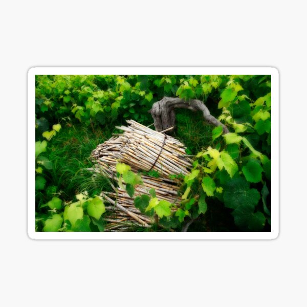 Item preview, Grape vines designed and sold by Gaspar Avila.