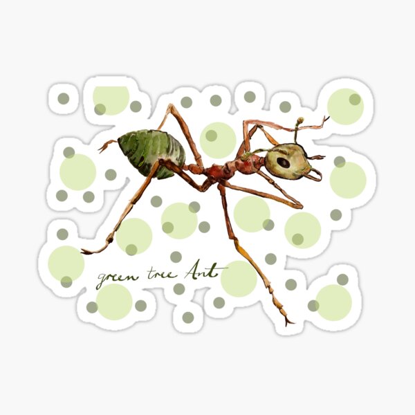 Green Tree Ant Sticker