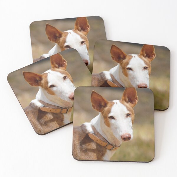 Item preview, A Beautiful Spanish Podenco designed and sold by AH Fotography.