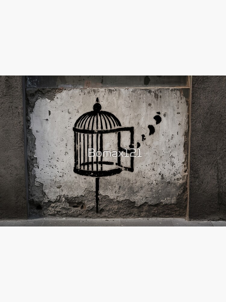 bird-cage-stencil-graffiti-poster-for-sale-by-bomax121-redbubble