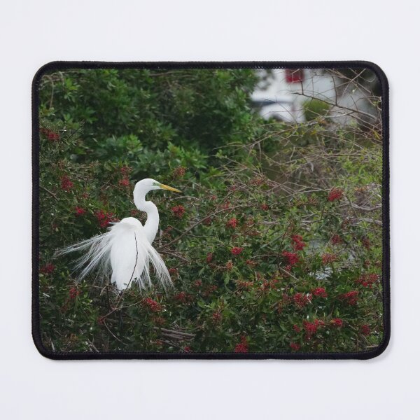 Item preview, Great crane in mating plumage designed and sold by distracted.