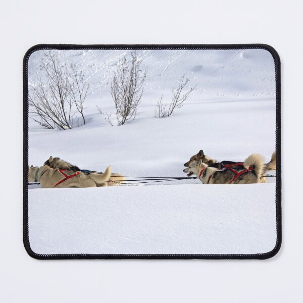 Item preview, Huskies designed and sold by Alexandra Lavizzari.