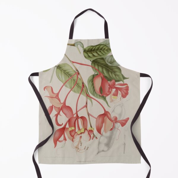 Item preview, Amherstia Nobilis vintage scientific illustration designed and sold by Lacasadellora.