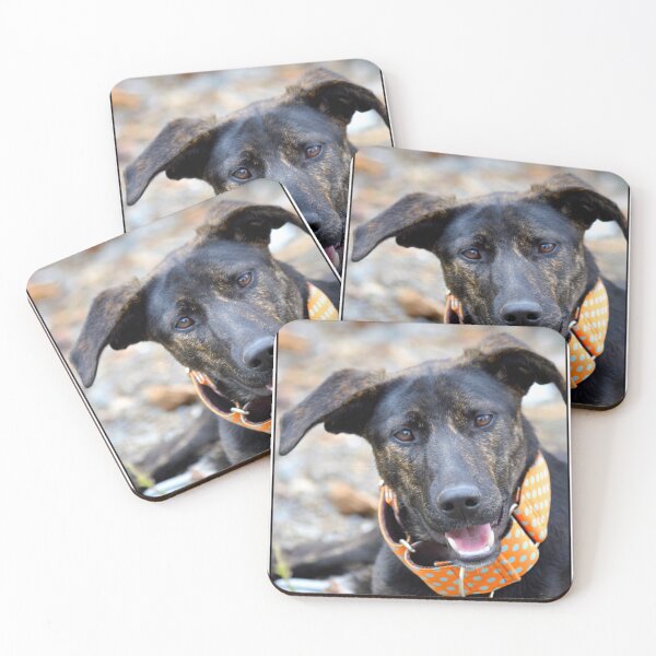 Item preview, Brindle Boy designed and sold by AH Fotography.