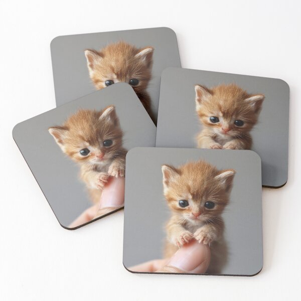 Item preview, Close-up of a tiny ginger kitten being lovingly held in a human hand, with a blurred background designed and sold by Ladidia.