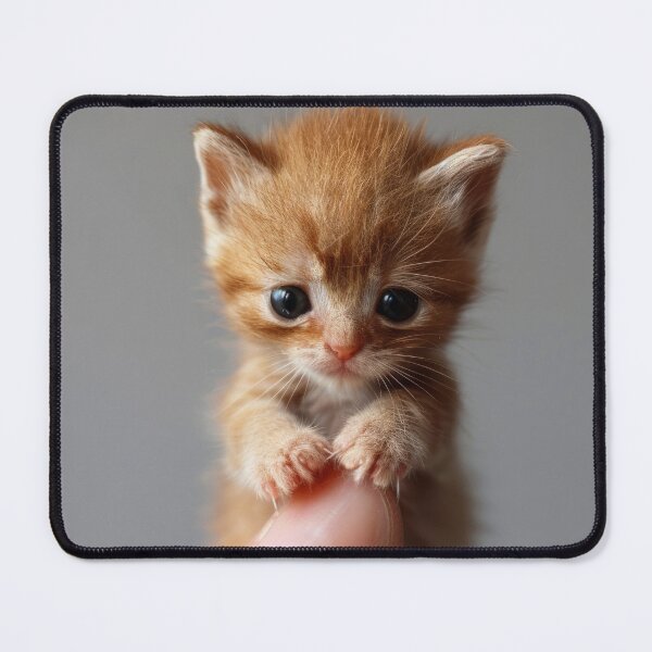 Item preview, Close-up of a tiny ginger kitten being lovingly held in a human hand, with a blurred background designed and sold by Ladidia.