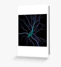 Hippocampal neuron Greeting Card