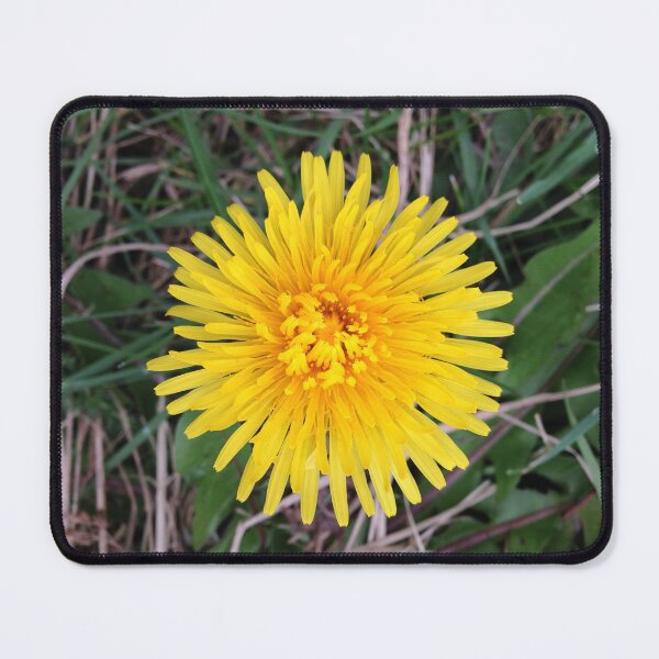 Item preview, 'Dandy-Dandelion' designed and sold by fluffystuffyness.