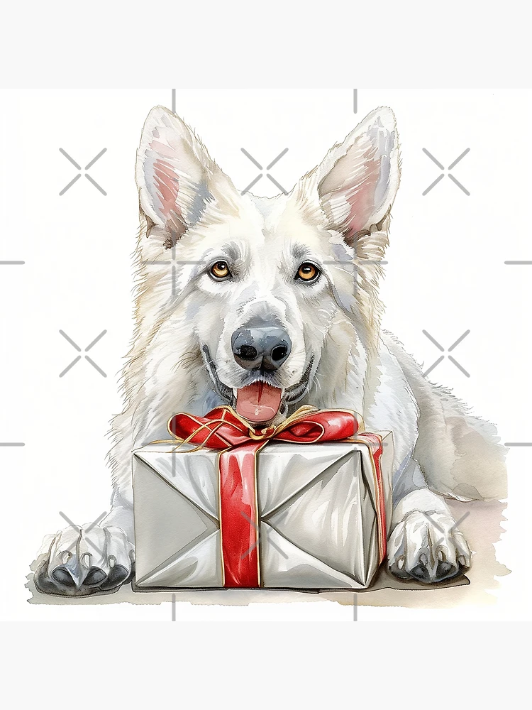 White German Shepherd - Swiss Shepherd - Birthday 