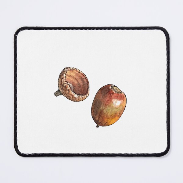 Item preview, Acorn - Botanical Watercolor Illustration designed and sold by AquarellChill.