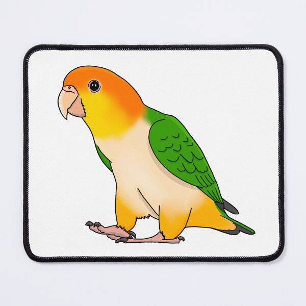Item preview, Cute White-Bellied Caique designed and sold by LittleBeaksArt.