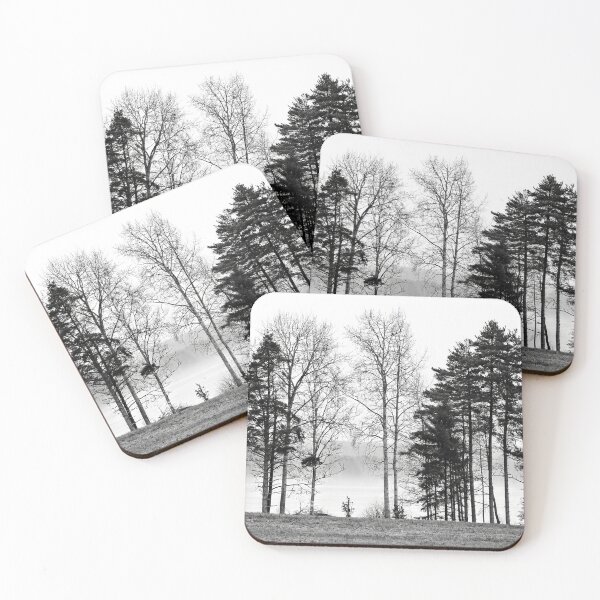 Item preview, Morning view. Common wood pigeon bw designed and sold by Jouko Lehto Photography.