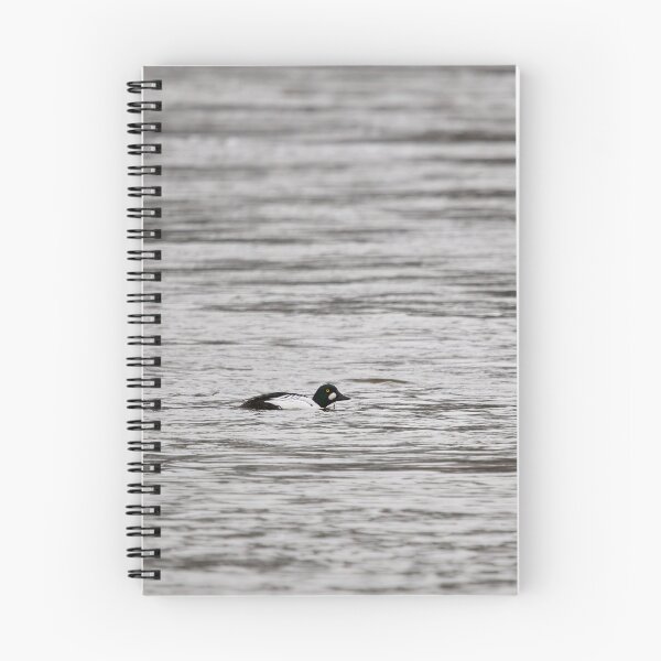 Item preview, Common goldeneye minimal on gray waters designed and sold by Jouko Lehto Photography.