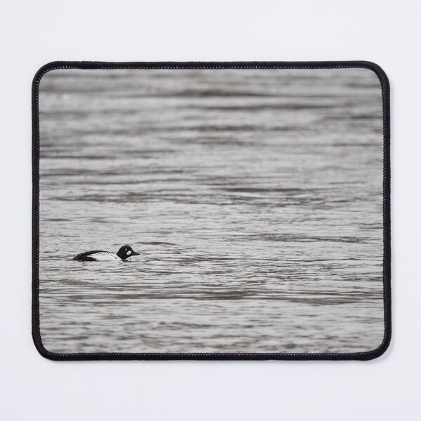 Item preview, Common goldeneye minimal on gray waters designed and sold by Jouko Lehto Photography.