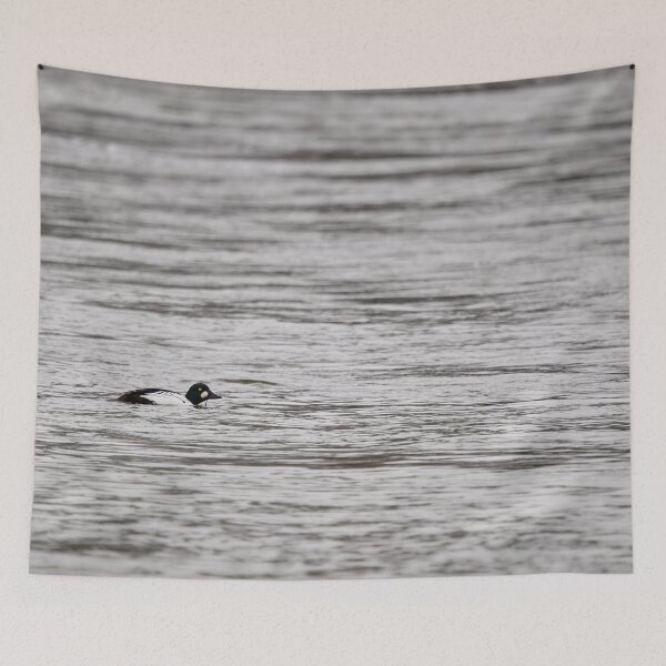Item preview, Common goldeneye minimal on gray waters designed and sold by Jouko Lehto Photography.
