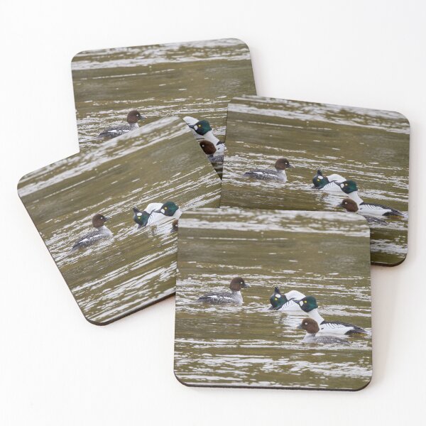Item preview, Show must go on.  Common goldeneye designed and sold by Jouko Lehto Photography.
