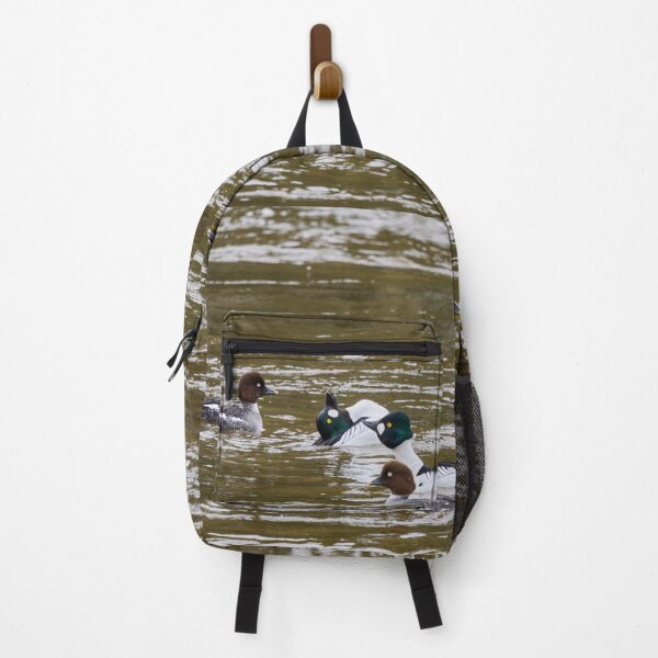 Item preview, Show must go on. Common goldeneye designed and sold by Jouko Lehto Photography.