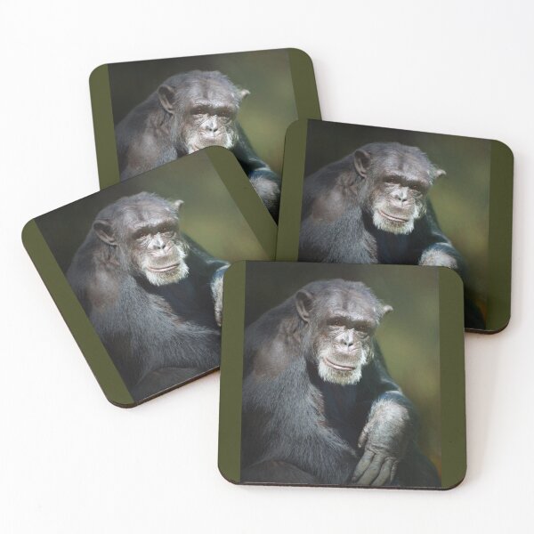 Item preview, Chimpance designed and sold by Savannah Gibbs.
