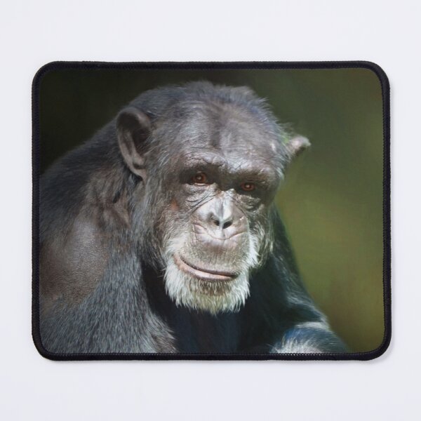 Item preview, Chimpance designed and sold by Savannah Gibbs.