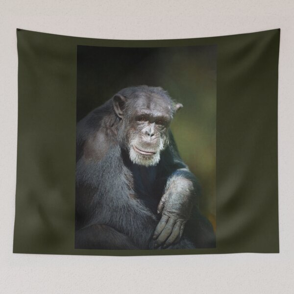 Item preview, Chimpance designed and sold by Savannah Gibbs.