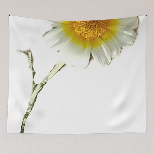 Item preview, DAISY STYLE DESIGN  designed and sold by Tobyhuckels1991.