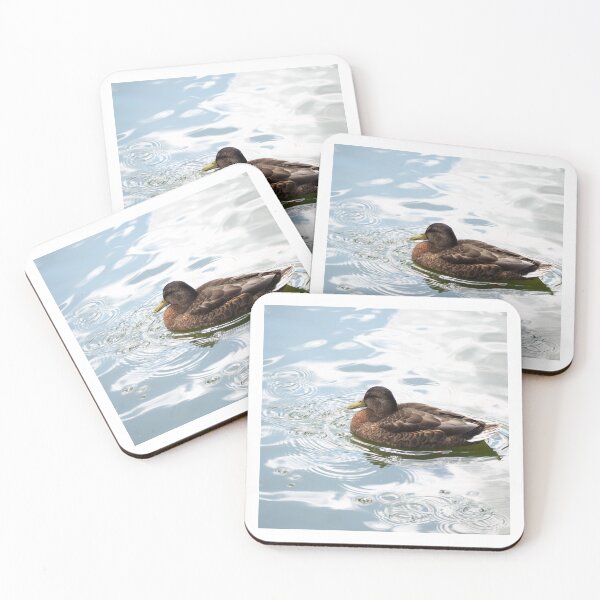 Item preview, Wild duck swiming in lake designed and sold by bendrusmfoto.