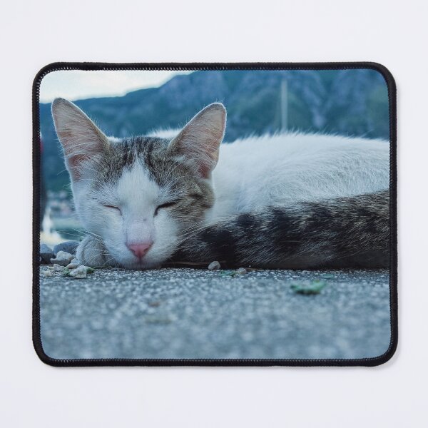 Item preview, Sleepy cat designed and sold by Gabszab.