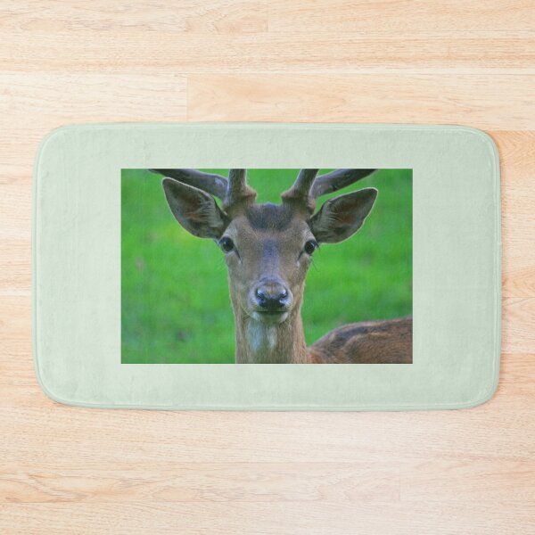 Item preview, Fallow Deer, Cornwall, June 2019 designed and sold by RedHillDigital.