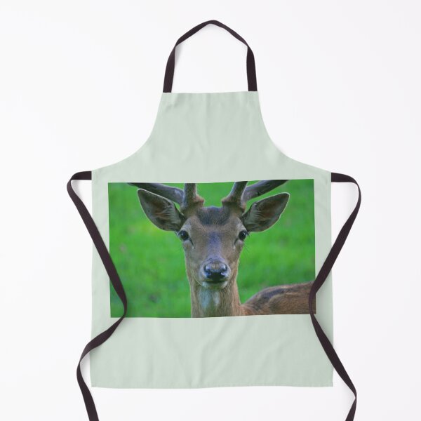 Item preview, Fallow Deer, Cornwall, June 2019 designed and sold by RedHillDigital.