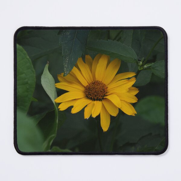 Item preview, Heliopsis wild flower in forest designed and sold by bendrusmfoto.