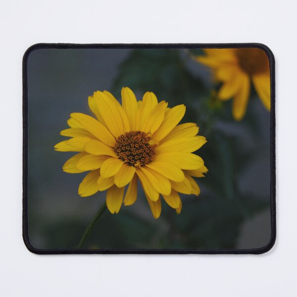 Item preview, Two wild heliopsis flower designed and sold by bendrusmfoto.