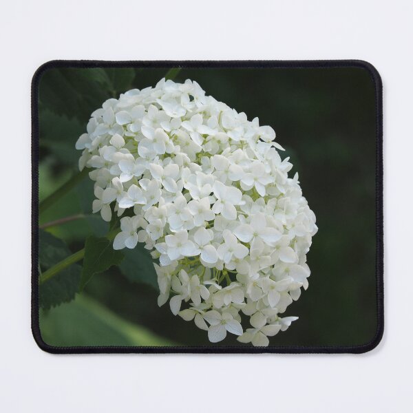 Item preview, Wild bush hydrangea in forest designed and sold by bendrusmfoto.