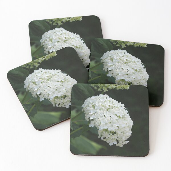Item preview, Wild bush hydrangea in forest designed and sold by bendrusmfoto.