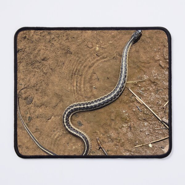 Item preview, Common Garter Snake designed and sold by CJRPics.