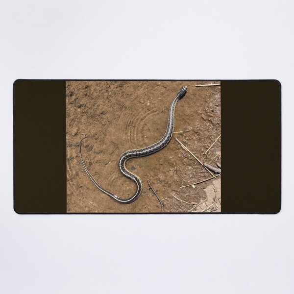 Item preview, Common Garter Snake designed and sold by CJRPics.