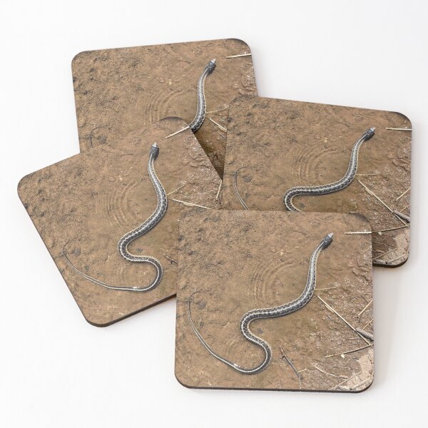 Item preview, Common Garter Snake designed and sold by CJRPics.