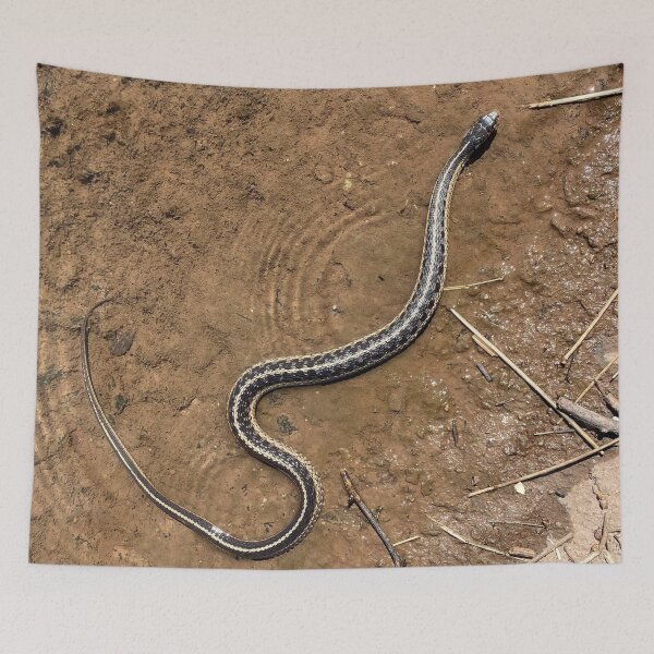 Item preview, Common Garter Snake designed and sold by CJRPics.
