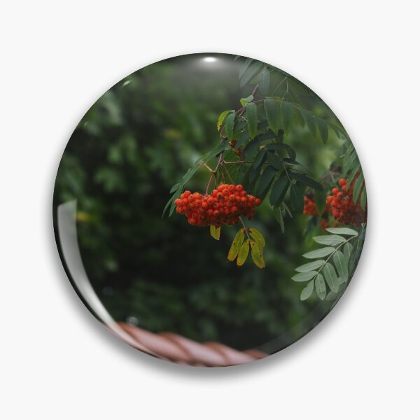 Item preview, Mountain ash in city designed and sold by bendrusmfoto.