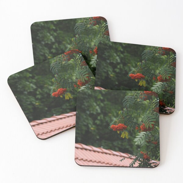 Item preview, Mountain ash in city designed and sold by bendrusmfoto.