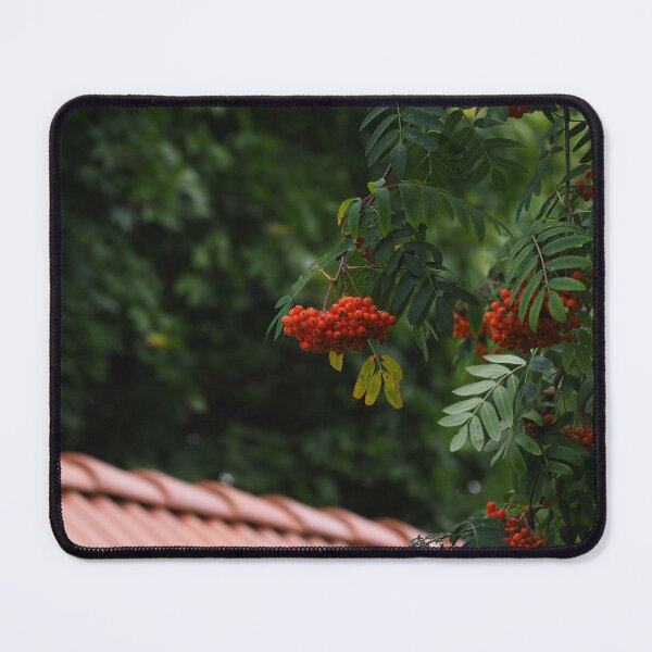 Item preview, Mountain ash in city designed and sold by bendrusmfoto.