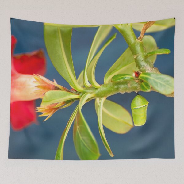 Item preview, Monarch butterfly chrysalis on a desert rose stem designed and sold by Zina Stromberg.