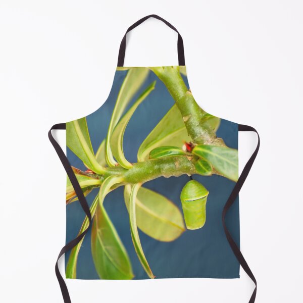Item preview, Monarch butterfly chrysalis on a desert rose stem designed and sold by Zina Stromberg.